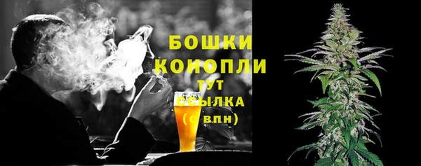 мяу мяу мука Бородино