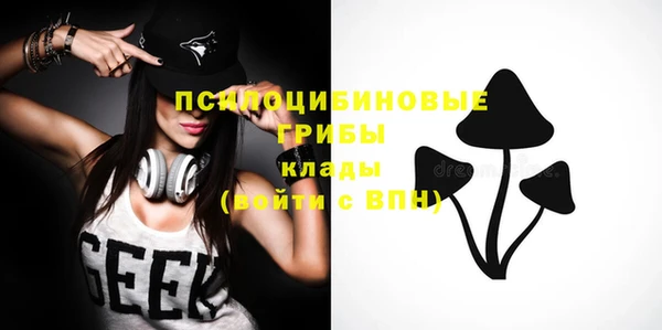 мяу мяу мука Бородино
